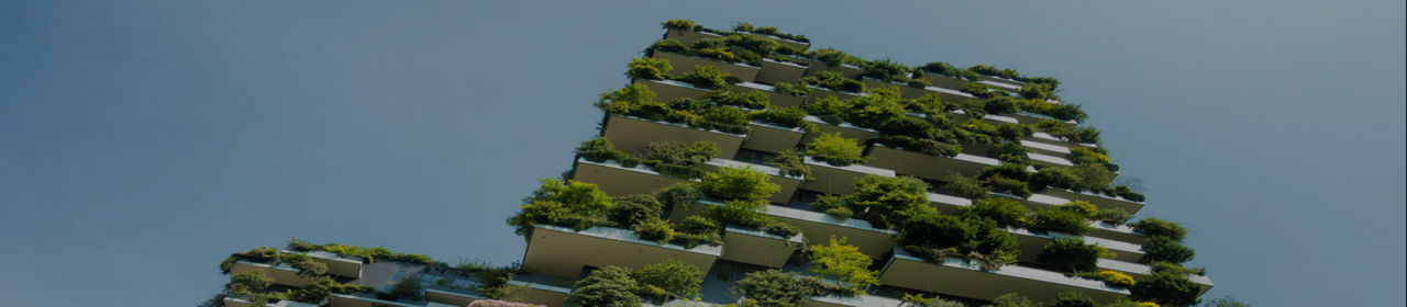green asset