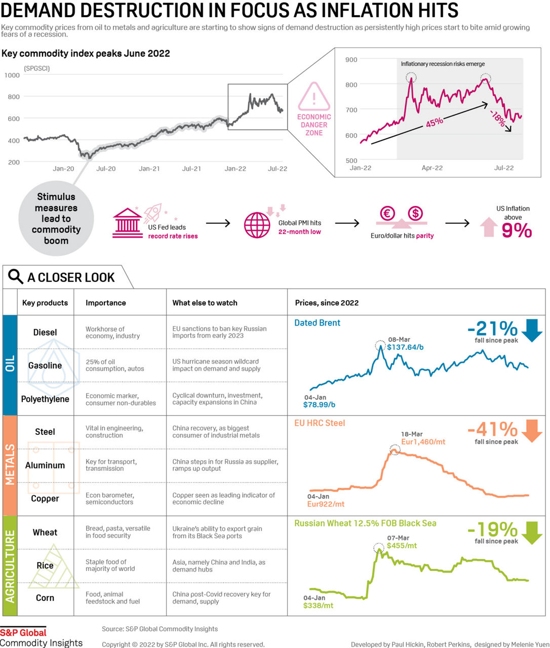 Infographic: Demand destruction in focus as inflation hits commodity markets