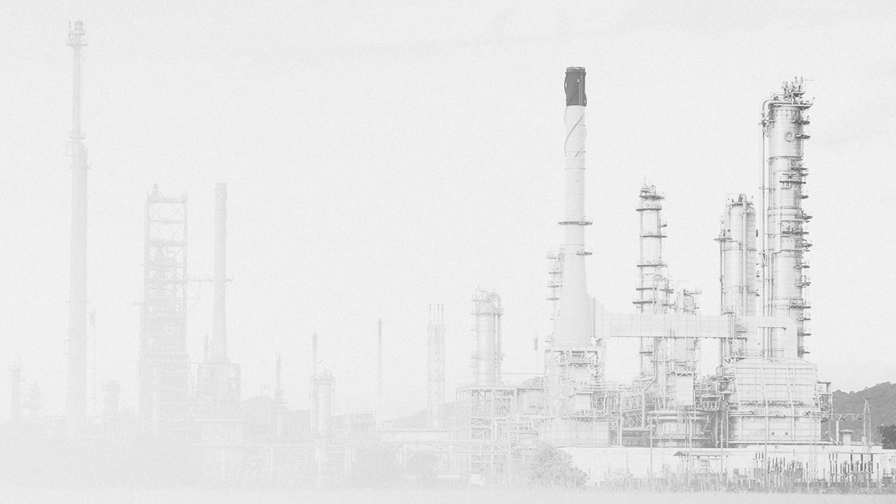 Expansion into the petrochemical markets