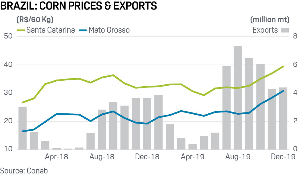 Brazil corn prices and exports