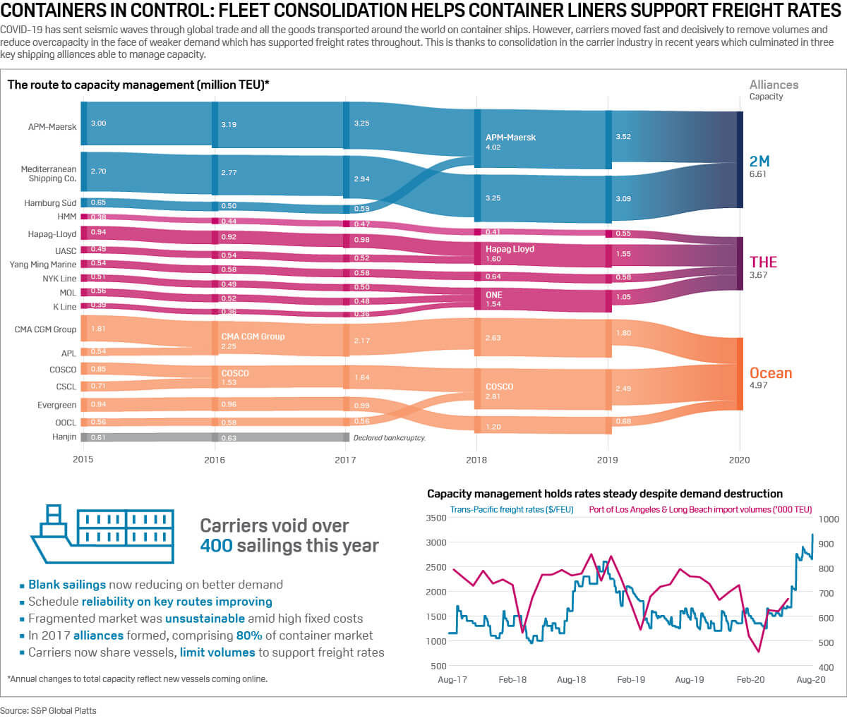 shipping alliances and container sector infographic