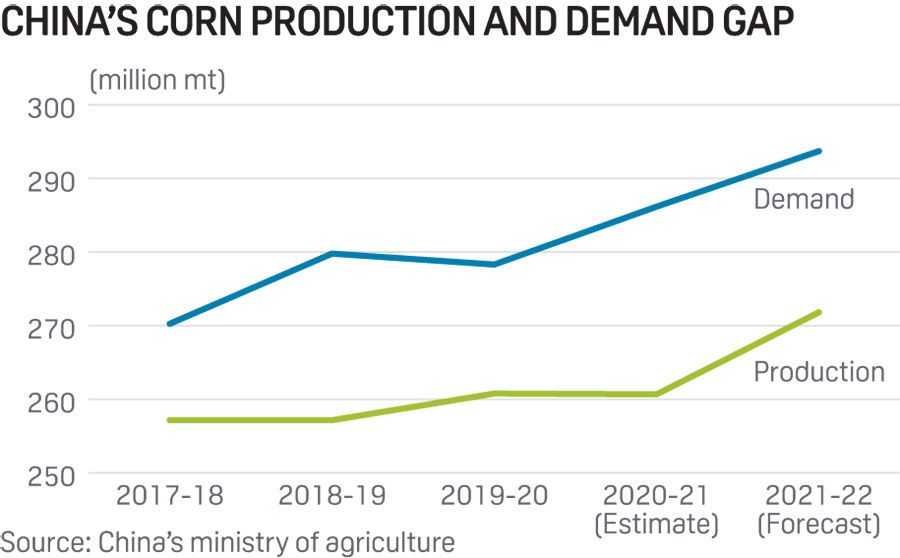 China's corn production and demand gap