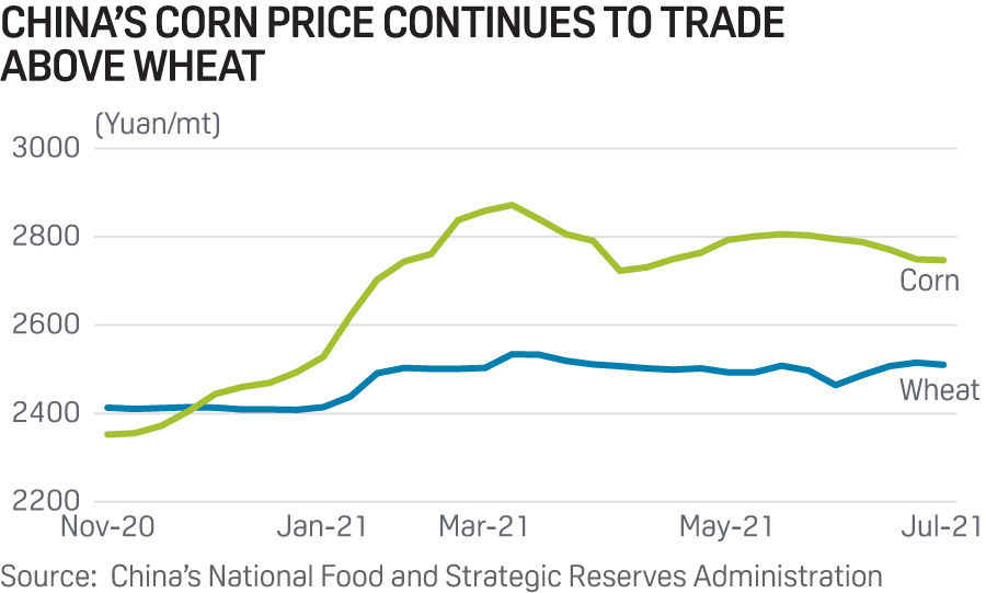 China corn and wheat prices