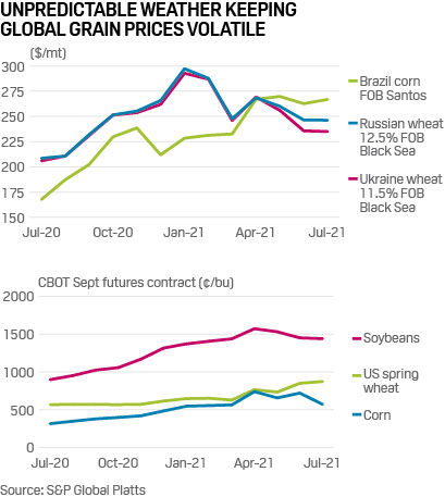 Unpredictable weather keeping global grain prices volatile