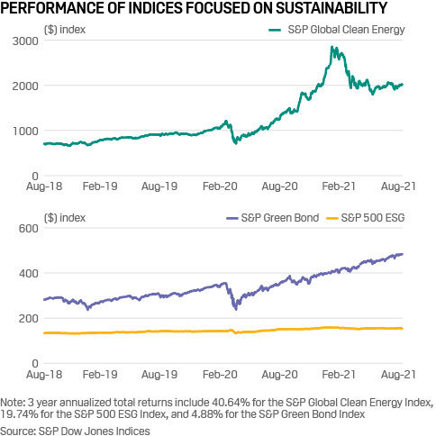 Performance of S&P Indices focused on sustainability