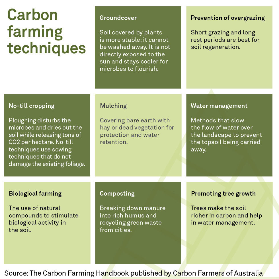 Soil carbon farming techniques