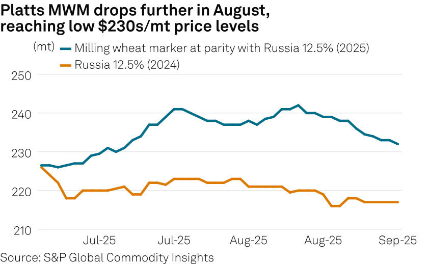 Platts MWM drops further in August, reaching low $230s/mt price levels