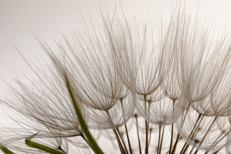AdobeStock_439924798_Medium