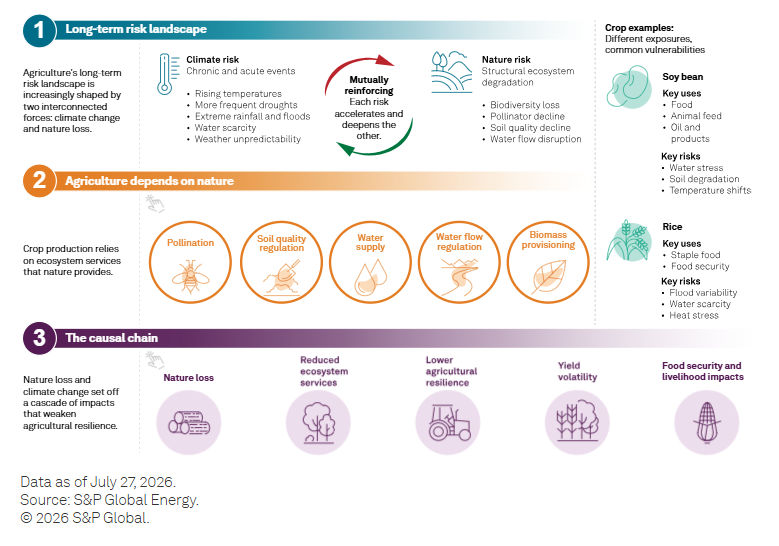 infogram