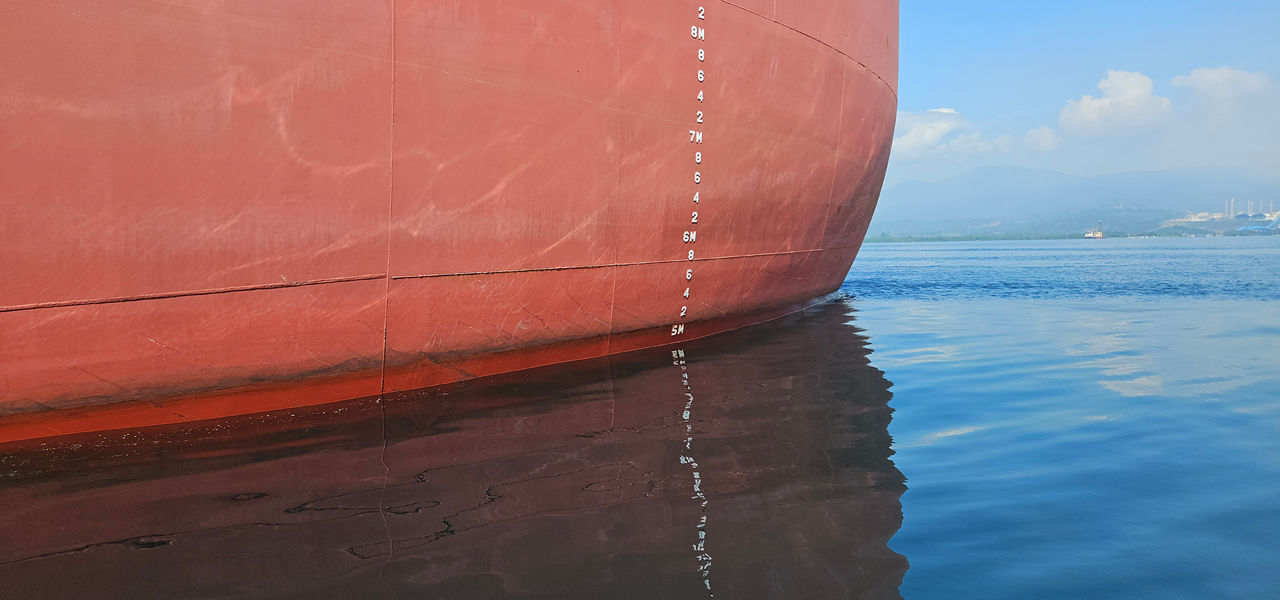 breakbulk attendees