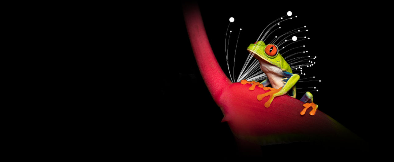 hwch-tcfd-header-banner
