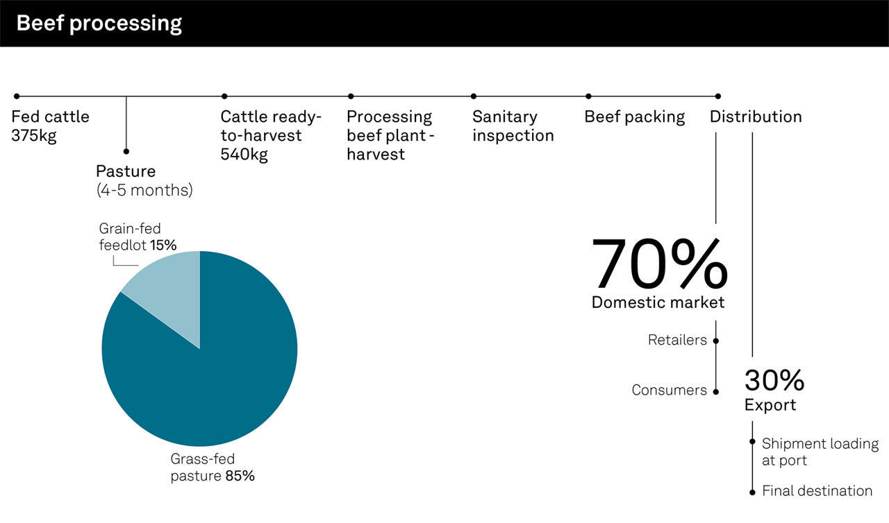 flowchart for beef processing