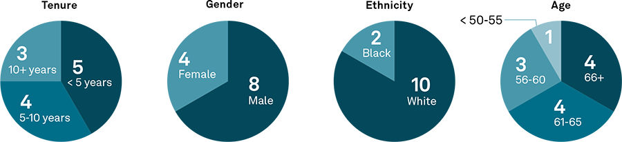 Board of Directors Profile and Demographics