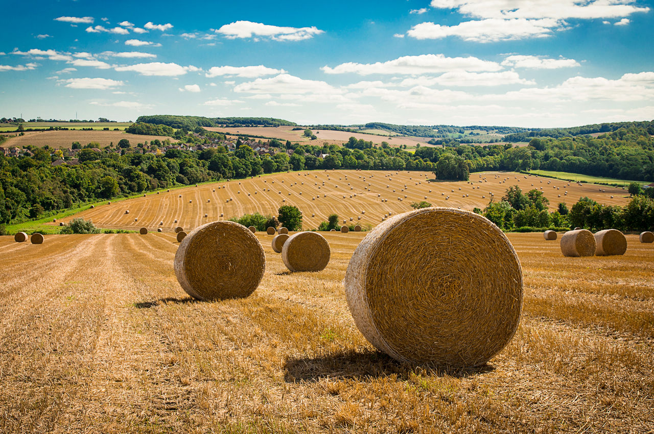 Agriculture Sustainability Service