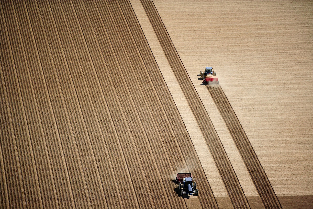 Biofuels & Bioenergy