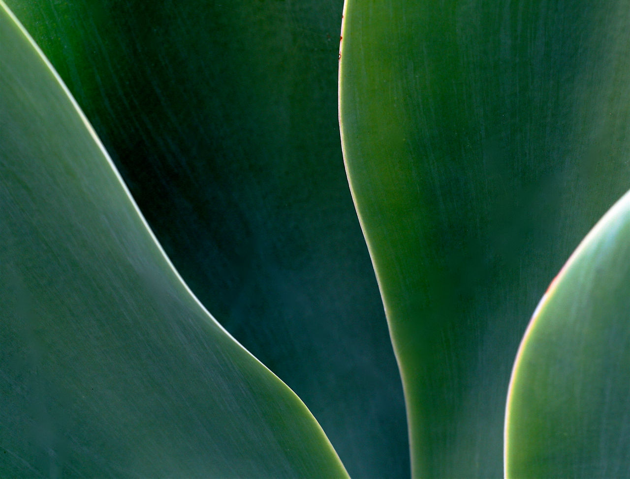 Environmental Registry Solutions