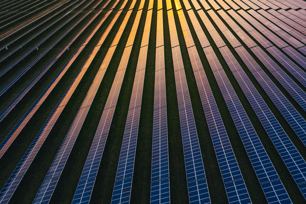 Manage sustainability risks