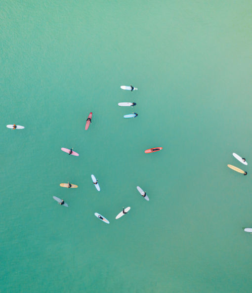 Sustainability Benchmarking Services