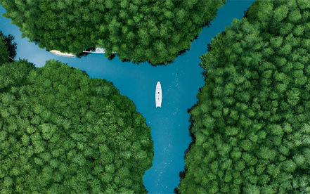 Global_Carbon_Markets_Conference