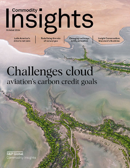 Challenges cloud aviation's carbon credit goals