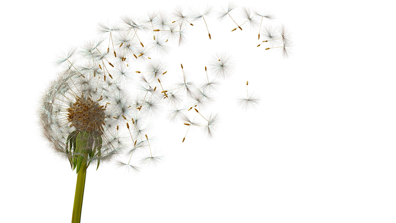 S&P Global Energy Horizons