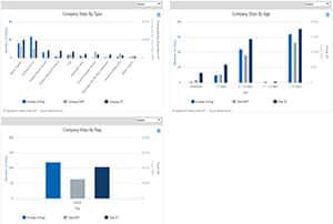 Company Analysis View