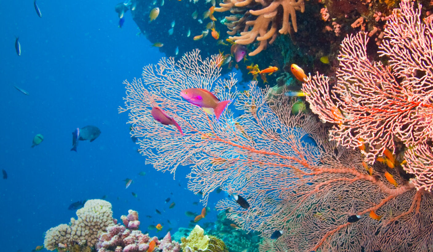 Biodiversity and Nature