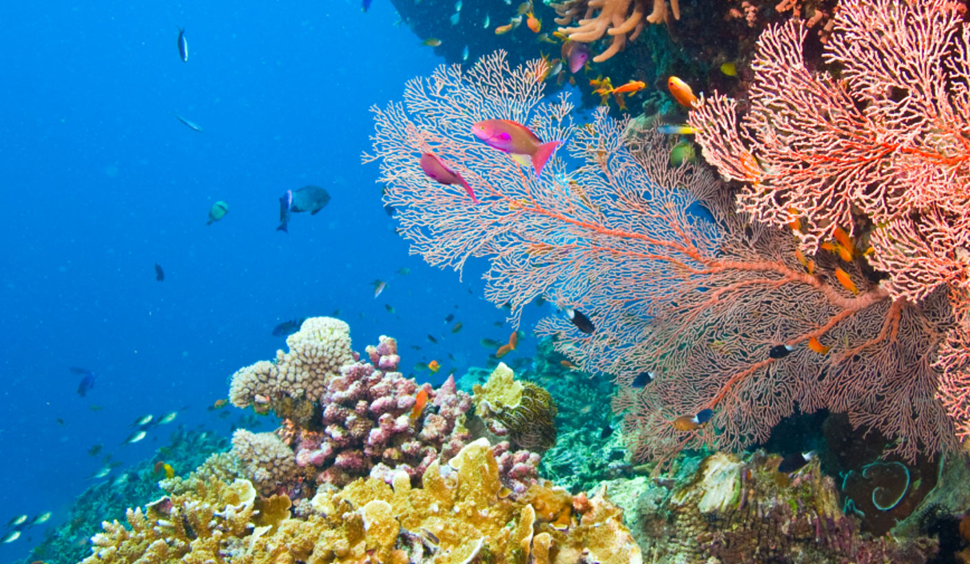 Biodiversity and Natural Capital