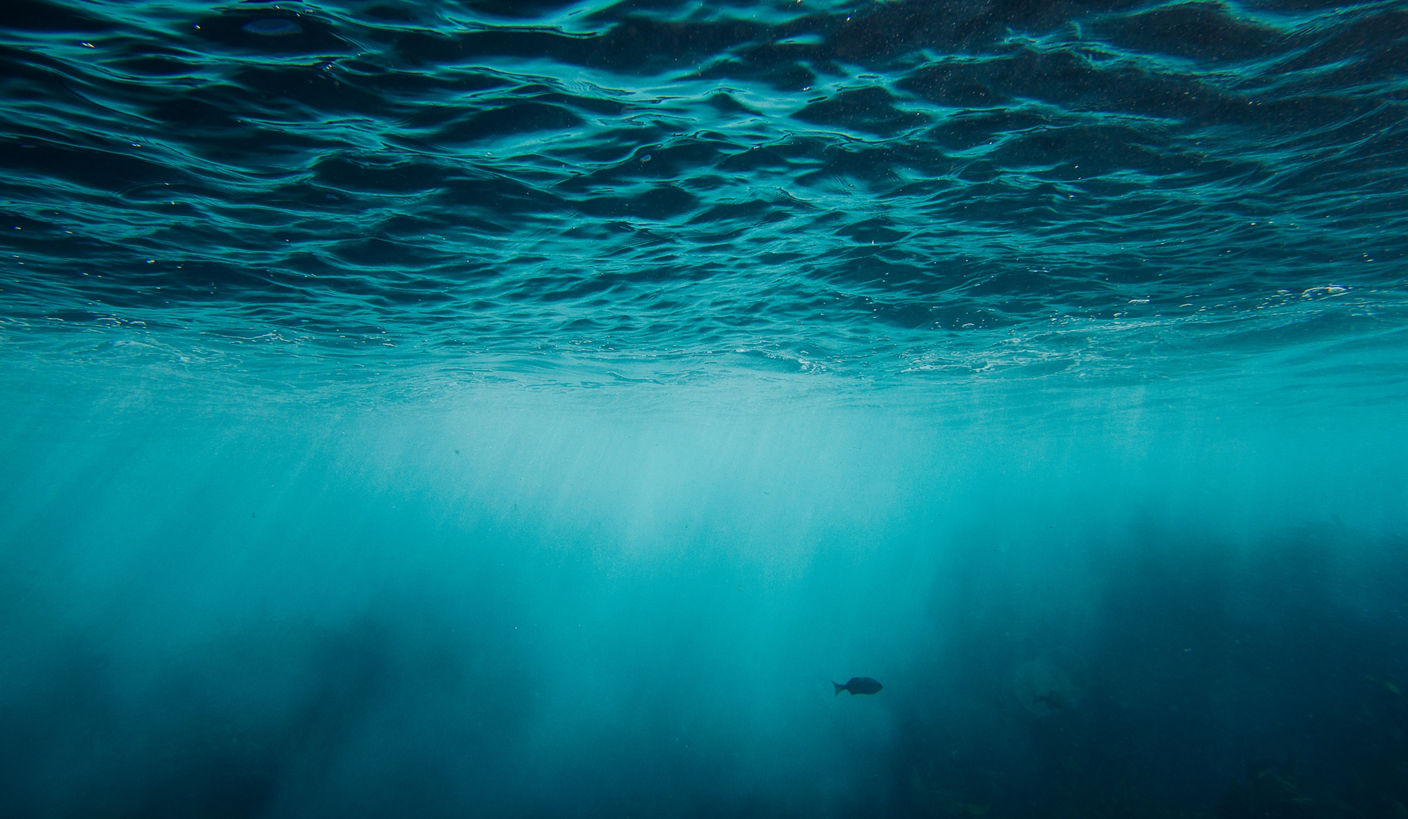 The ocean surface from underwater