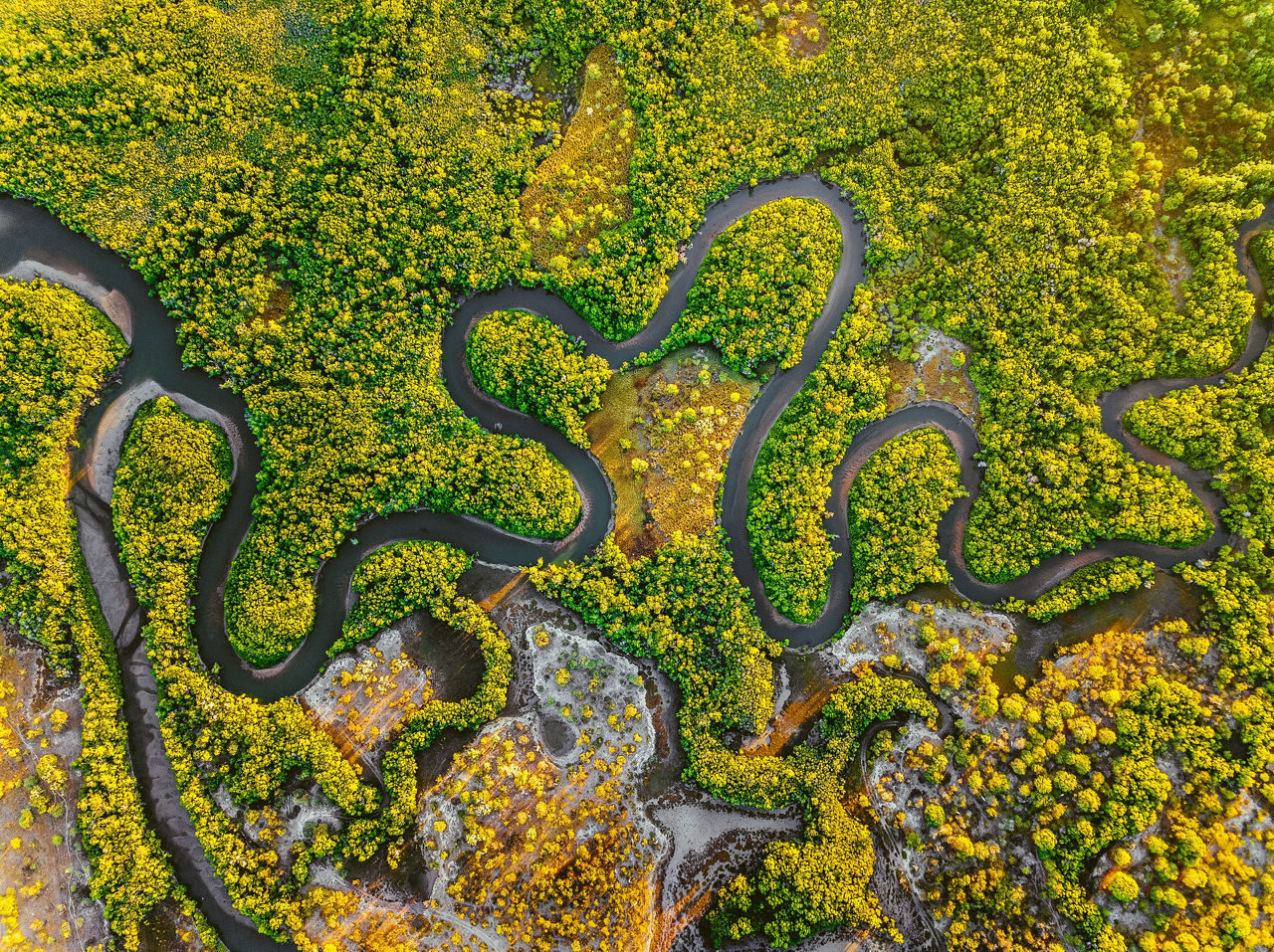 Evaluate country and territory risks