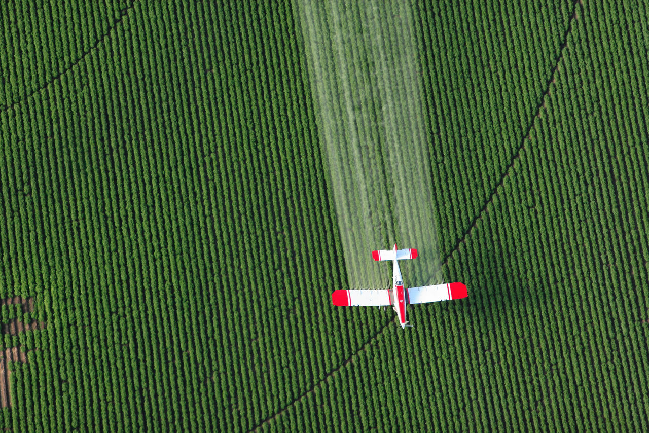 Biofuels in Flux; Big Tech Earnings; and Stalling Solar Additions