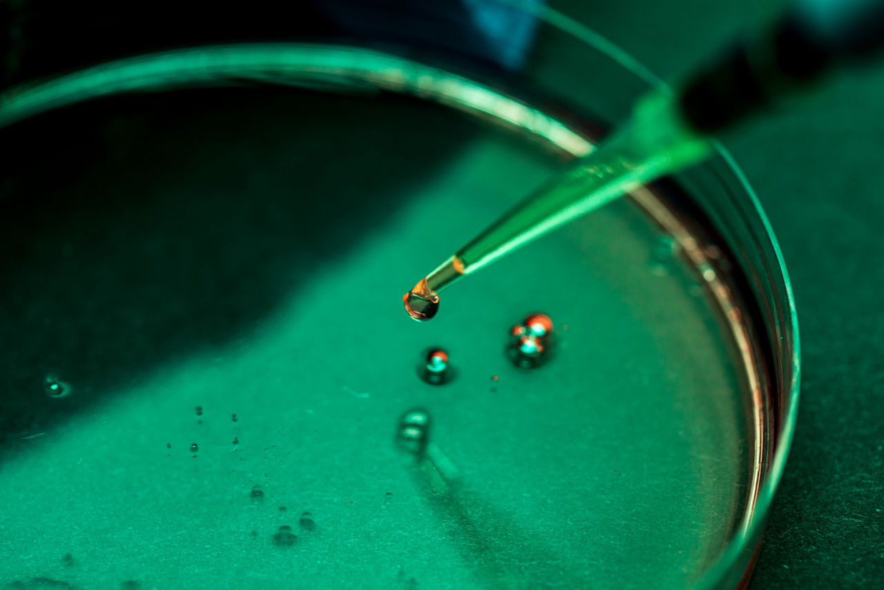 Artificial Intelligence Powering Synthetic Biology: The Fundamentals 
