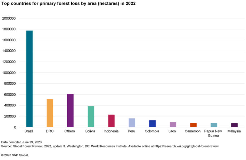 Top countries for primary forest loss by area (hectares) in 2022