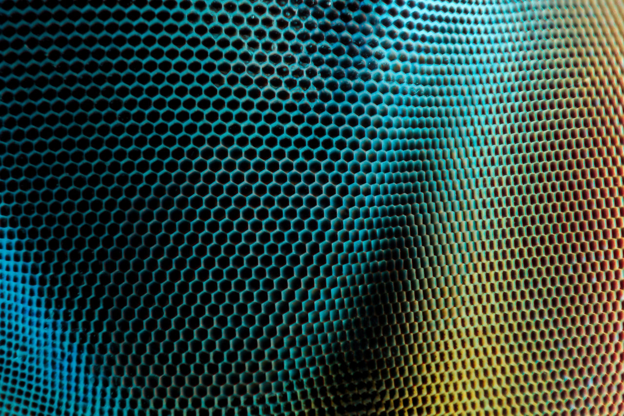 Artificial Intelligence and Quantum Computing: The Fundamentals 