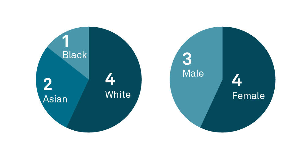 S&P-Global-Foundation-Board Demographics