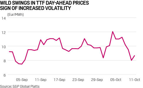 Wild swings in TTF day-ahead prices