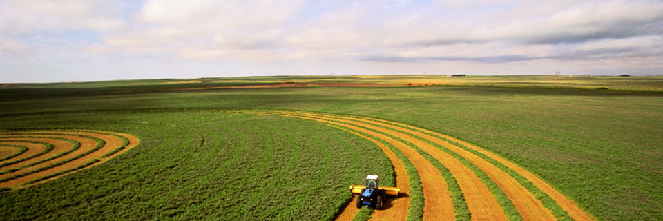 Global Agriculture and Food: Our predictions for 2026