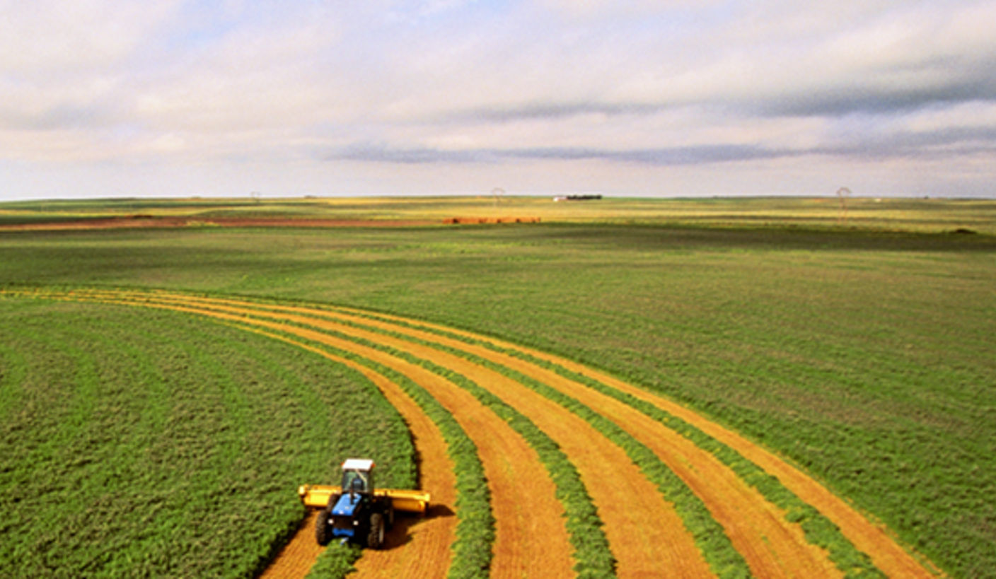 Global Agriculture and Food: Our predictions for 2026
