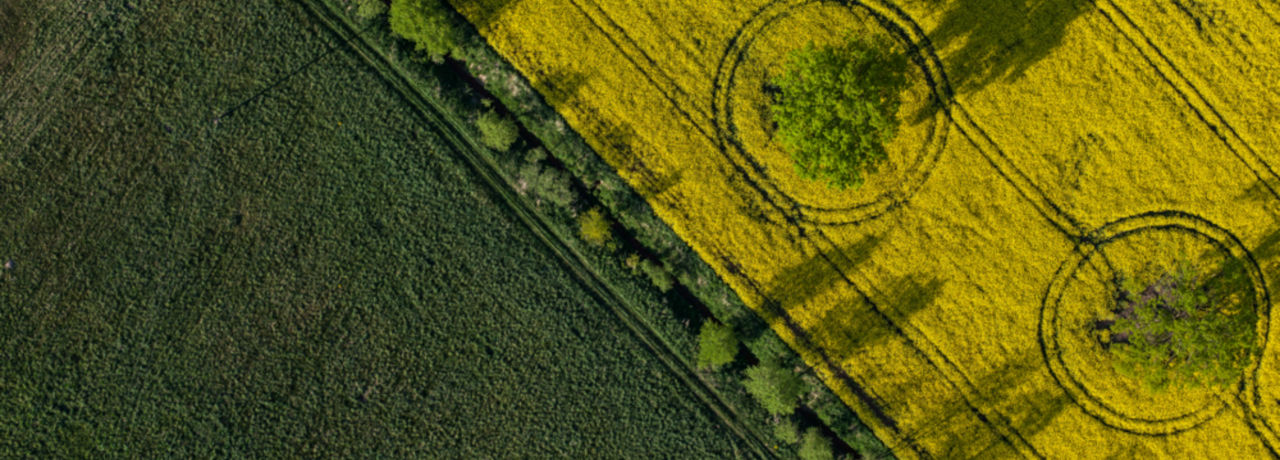 Sao Paulo Market Briefing