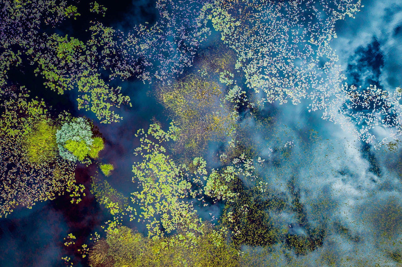 Peru Market Briefing