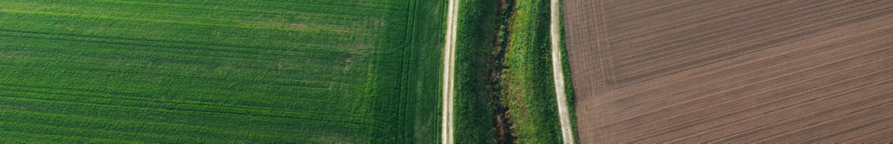 Global Agriculture and Food: Our predictions for 2026