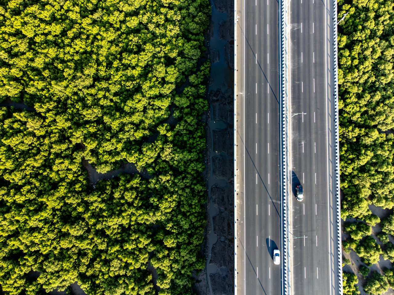India Forward Reimagining Growth