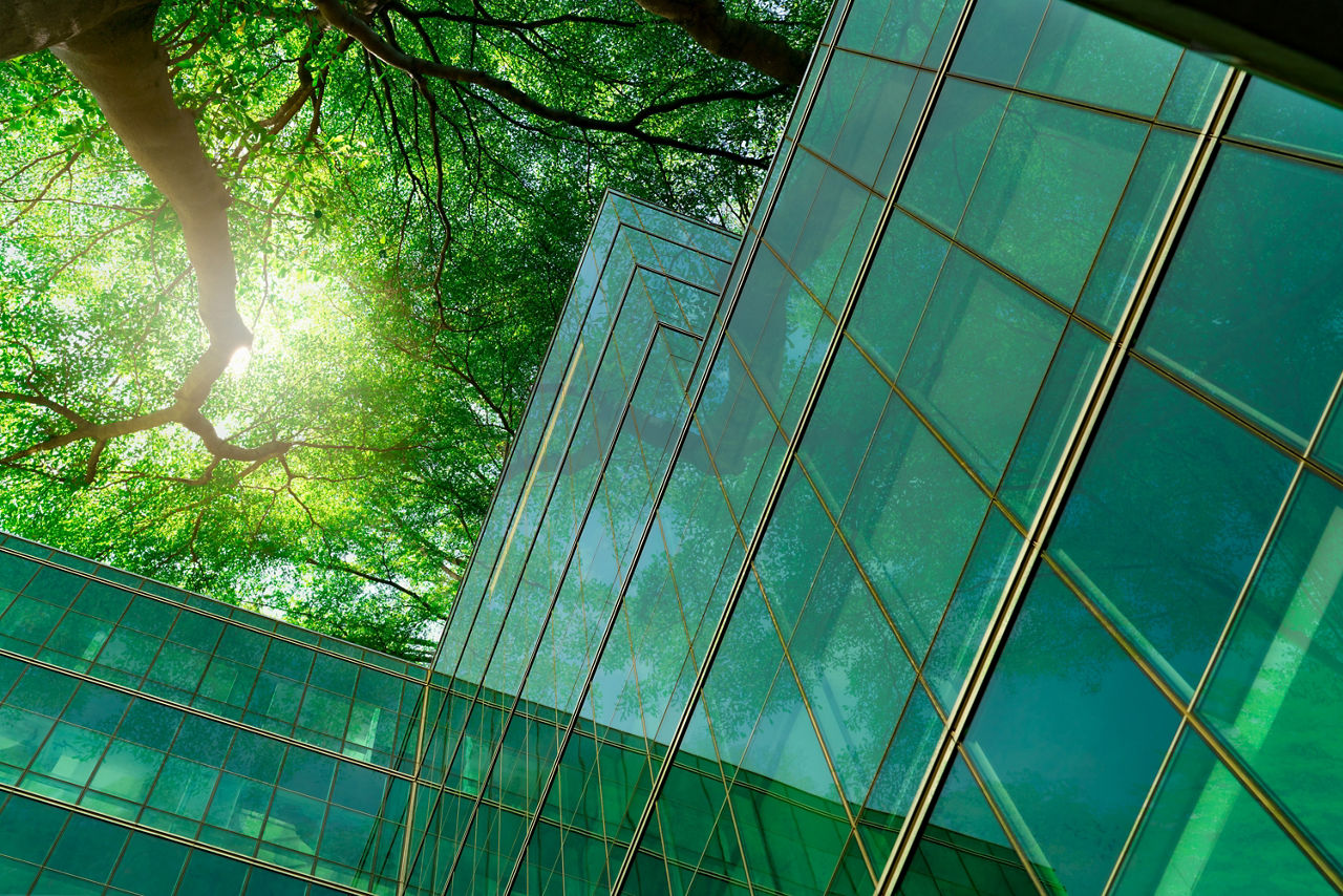 trees beside green building