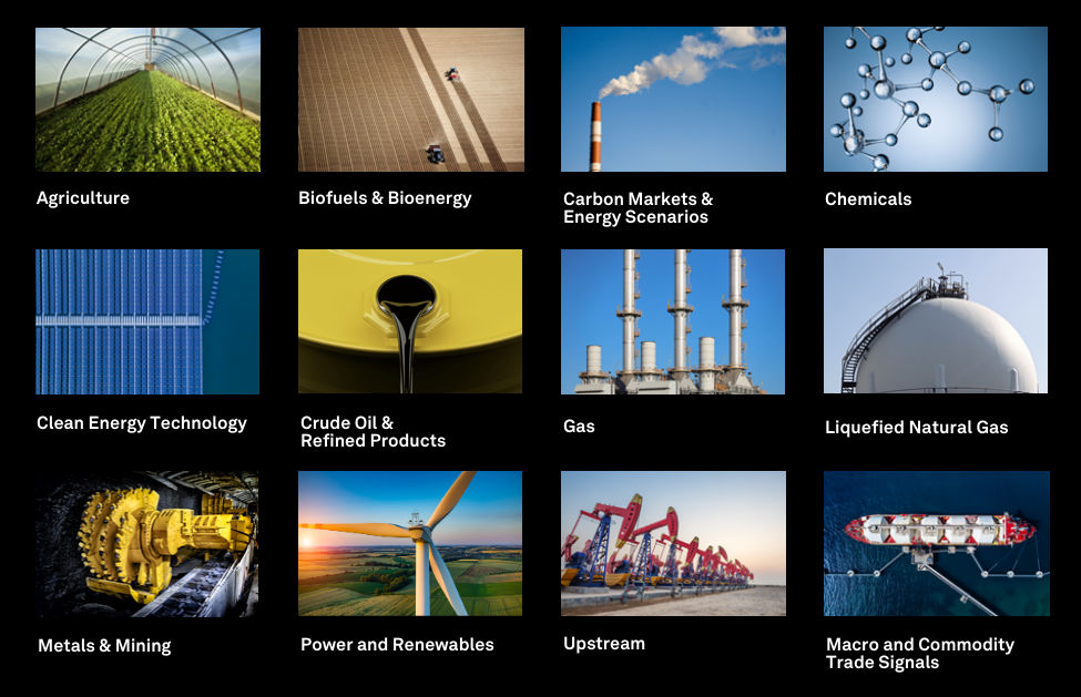 Industry Expansion on SP Capital IQ Pro