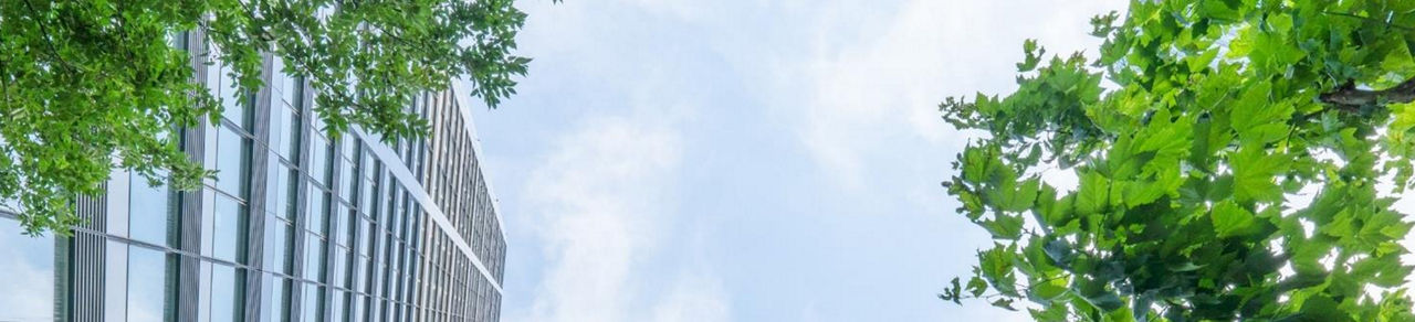 Leading Asset Manager