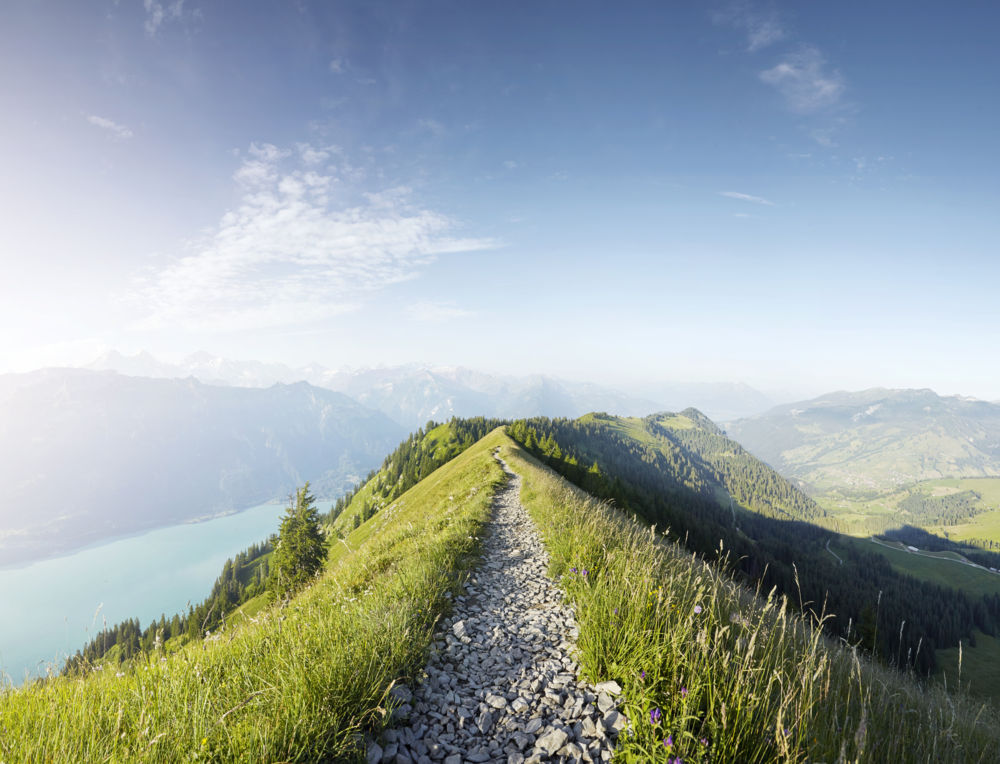 Insurance Investment Symposium 