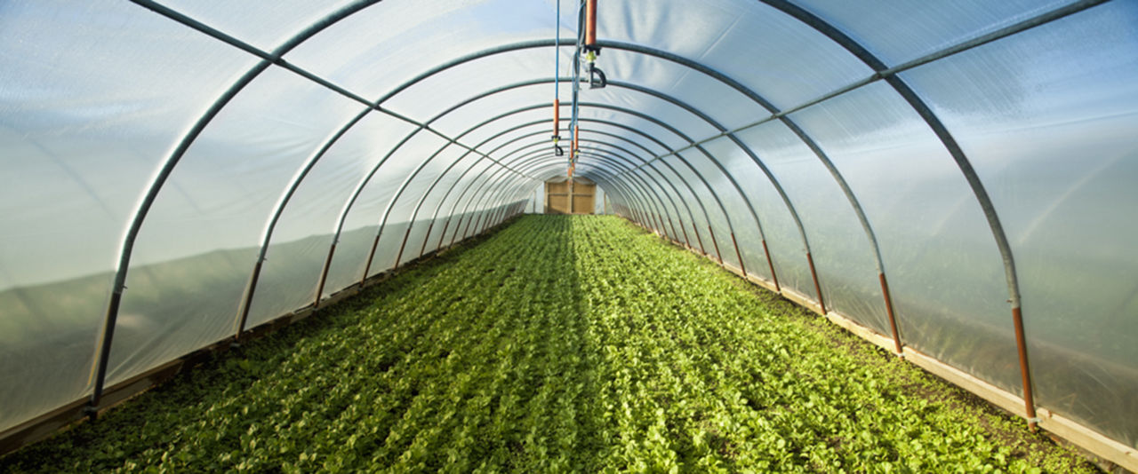 Farm