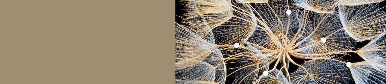 Corporate Action Brochure