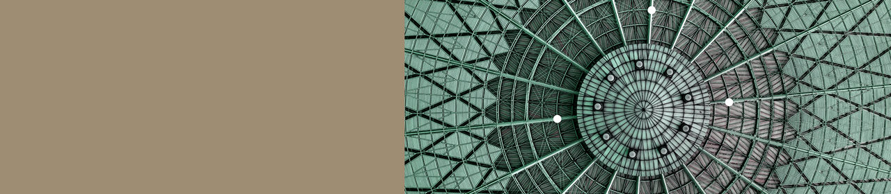   Corporate Action Brochure