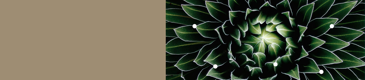 Corporate Action Brochure